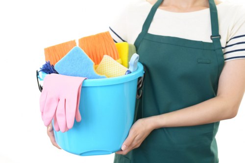Professional oven cleaning in SE22 with a spotless appliance
