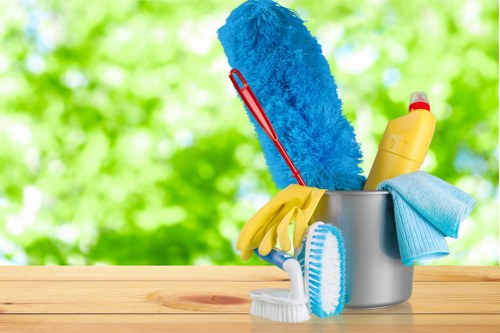 Accessible Carpet Cleaners SE22 website and service page illustration