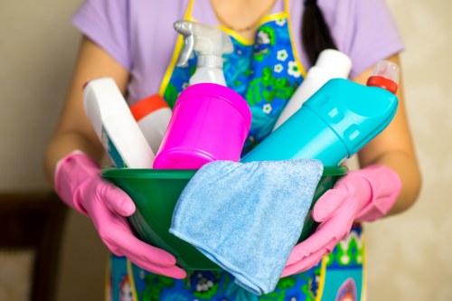 Professional one off cleaning in SE22 for a refreshed living room