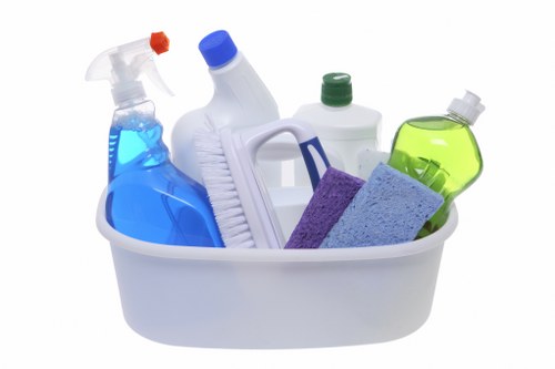 Professional home cleaners in SE22 working in a bright living room