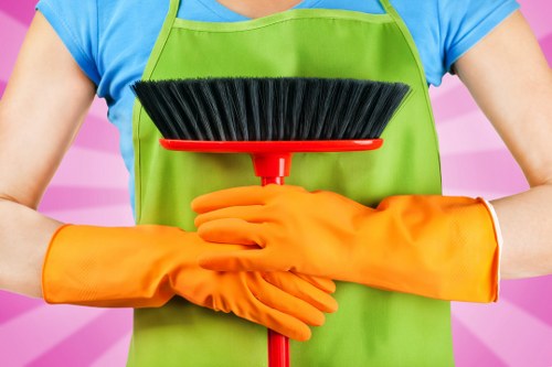 Professional carpet cleaning in SE22 removing stains from flooring