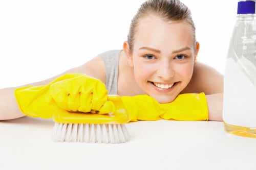 Inspection of carpet and room hazards before cleaning