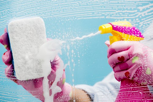 Carpet cleaning SE22 for a clean and healthy home interior