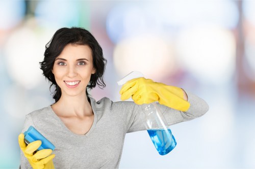 Deep carpet cleaning equipment used by a local SE22 specialist