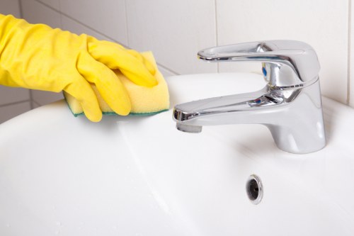 Experienced carpet cleaners SE22 helping maintain soft clean carpets