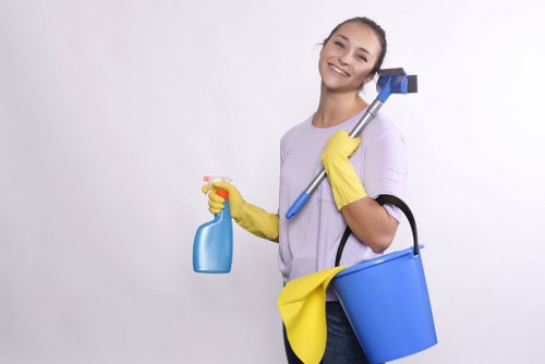 Professional cleaner vacuuming and dusting in SE22 property