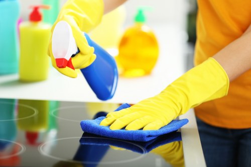 Kitchen deep cleaning in SE22 with detailed surface care
