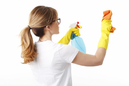 Local SE22 home cleaning service maintaining a kitchen