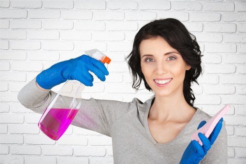 Bathroom limescale and hygiene cleaning