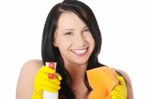 Protective PPE and cleaning tools used by Carpet Cleaners SE22