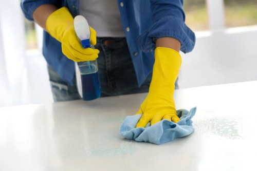 House cleaning checklist for SE22 homes