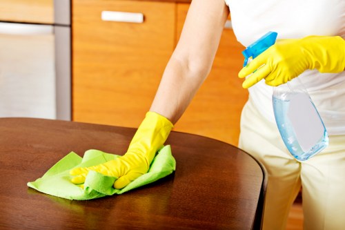 Cleaner preparing carpet cleaning service booking details